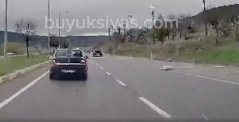 Güncel Olay: Yolda Aniden Çıkan Köpek